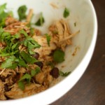 WLS Recipe for Tex Mex Chicken in the Crockpot