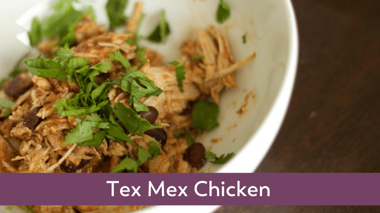 tex mex chicken crockpot bariatric recipe