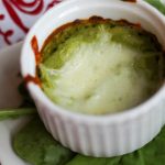 Chicken Artichoke Spinach Puree | Bariatric Surgery Recipes | FoodCoach.Me