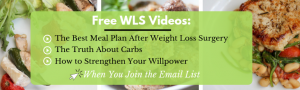 Free weight loss surgery teaching videos from bariatric dietitian. Best meal plan after surgery, the truth about carbs and how to strengthen your willpower